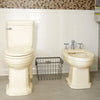 [D25000004.071] Bidet, 4-hole - Canvas White