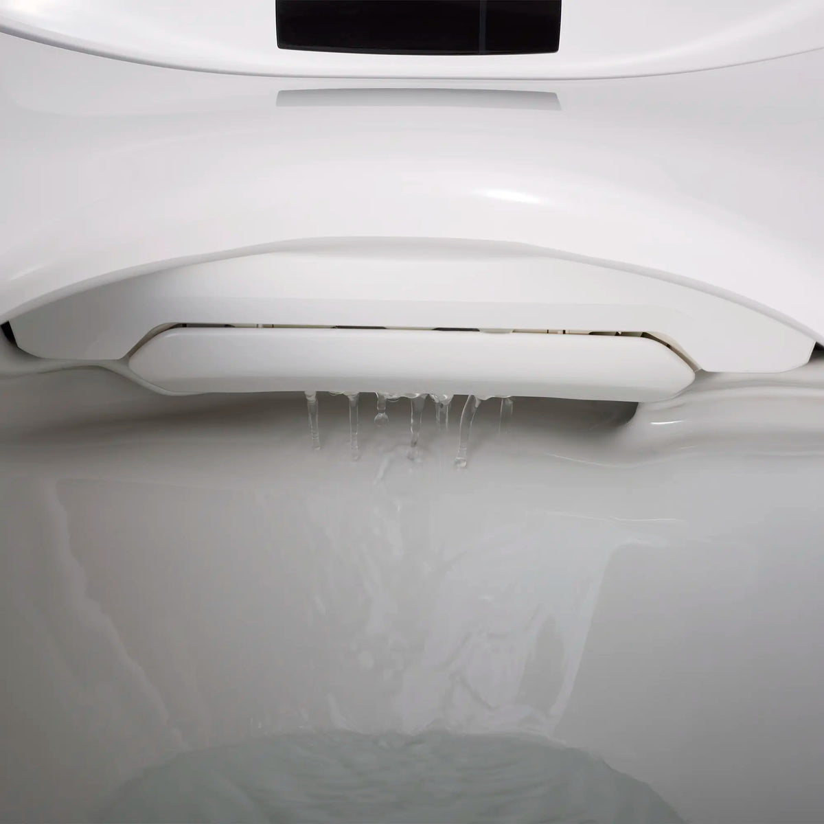 AT200®LS Dual Flush Elongated SpaLet® Bidet Toilet // CANVAS WHITE // 289921_B-D29030CS416415_SelfCleaning_0_CDNwebp.webp