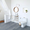 [D22010C101.415] One-Piece Elongated Toilet - Canvas White