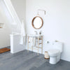 [D22010C101.415] One-Piece Elongated Toilet - Canvas White
