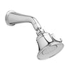 [D35102775.100] Randall Showerhead & Arm Low Flow - Brushed Nickel