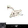 Belshire® Single Function 6 in. Square Showerhead // POLISHED CHROME // 68289_2020_DXV_Showerhead_D35170106_2_CDNwebp.webp