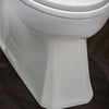 Belshire® One-Piece Chair Height Elongated Toilet with Seat // CANVAS WHITE // 84040_B-D22025A101415_1_CDNwebp.webp