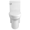 Cossu® One-Piece Chair Height Elongated Toilet with Seat // CANVAS WHITE // 91975_D22015F101415_CDNwebp.webp