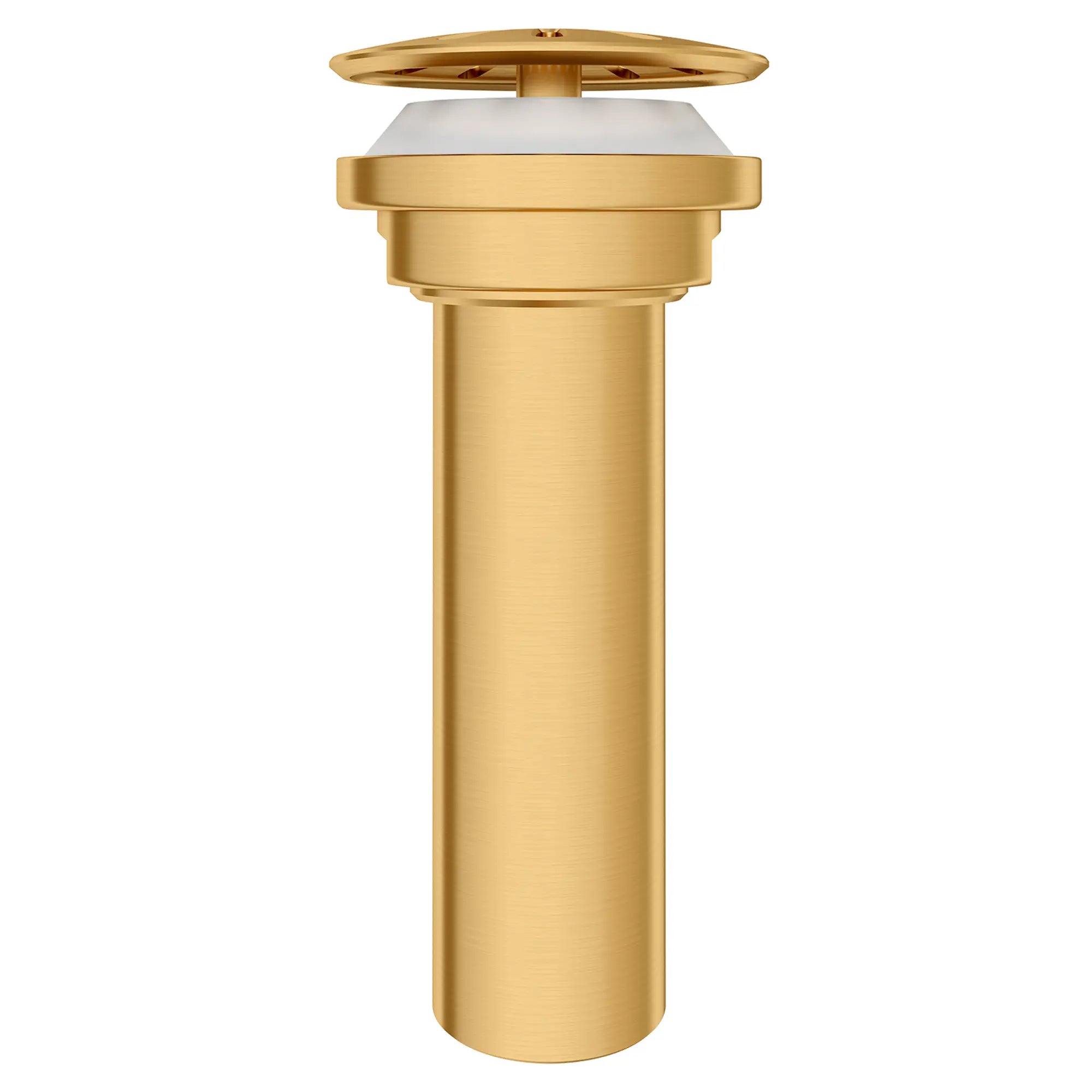Oak Hill® Grid Drain // SATIN BRASS // 95704_D35155460.427_CDNwebp.webp